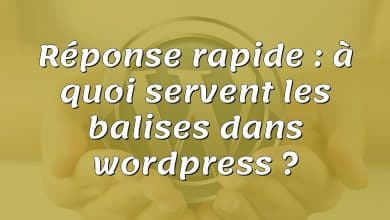 Réponse rapide : à quoi servent les balises dans wordpress ?